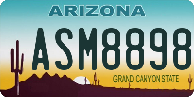 AZ license plate ASM8898