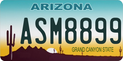 AZ license plate ASM8899