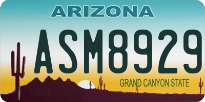 AZ license plate ASM8929