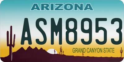 AZ license plate ASM8953