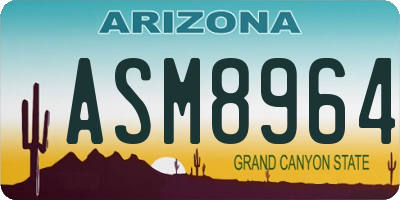 AZ license plate ASM8964