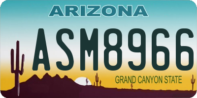AZ license plate ASM8966