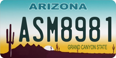 AZ license plate ASM8981