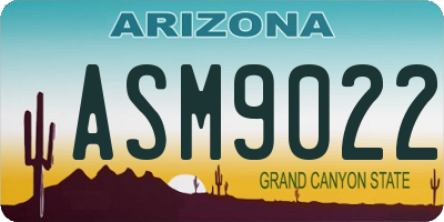 AZ license plate ASM9022