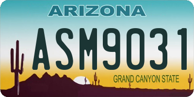 AZ license plate ASM9031