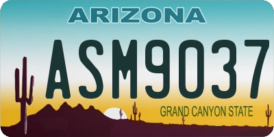 AZ license plate ASM9037