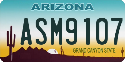 AZ license plate ASM9107