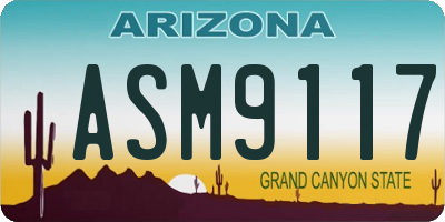 AZ license plate ASM9117