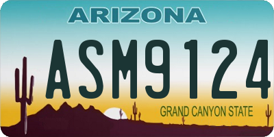 AZ license plate ASM9124