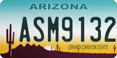 AZ license plate ASM9132