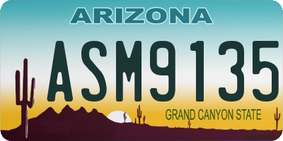 AZ license plate ASM9135