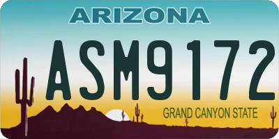 AZ license plate ASM9172