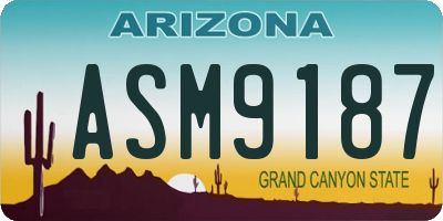 AZ license plate ASM9187