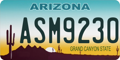 AZ license plate ASM9230