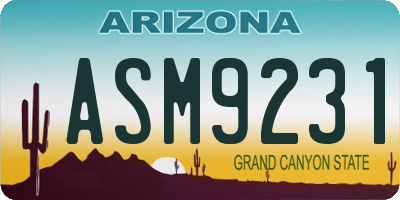 AZ license plate ASM9231