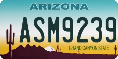 AZ license plate ASM9239