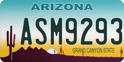 AZ license plate ASM9293