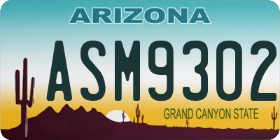 AZ license plate ASM9302