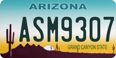 AZ license plate ASM9307