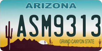 AZ license plate ASM9313