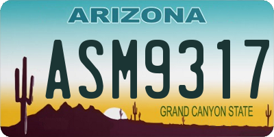 AZ license plate ASM9317
