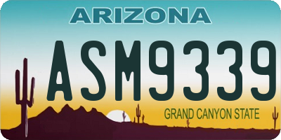 AZ license plate ASM9339