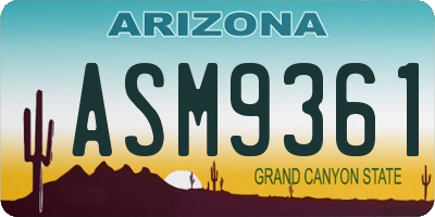 AZ license plate ASM9361