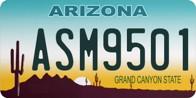 AZ license plate ASM9501