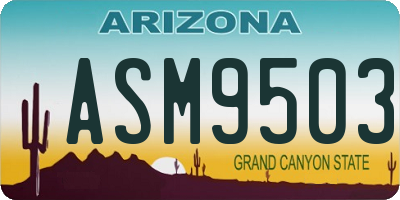 AZ license plate ASM9503