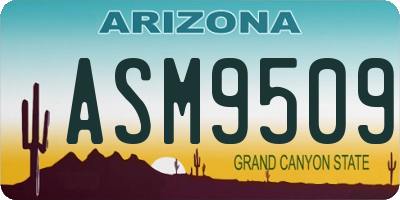 AZ license plate ASM9509