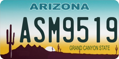 AZ license plate ASM9519