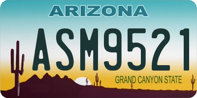 AZ license plate ASM9521