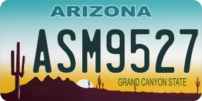 AZ license plate ASM9527