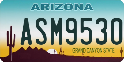 AZ license plate ASM9530