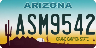 AZ license plate ASM9542