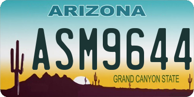 AZ license plate ASM9644