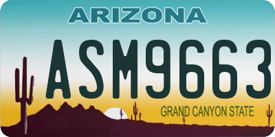 AZ license plate ASM9663