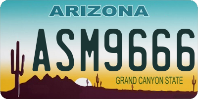 AZ license plate ASM9666