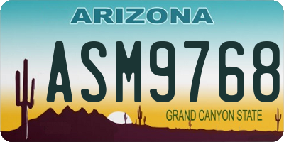 AZ license plate ASM9768