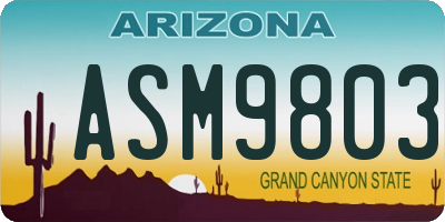 AZ license plate ASM9803