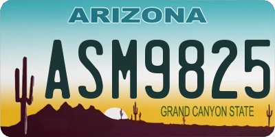 AZ license plate ASM9825