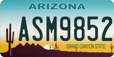 AZ license plate ASM9852