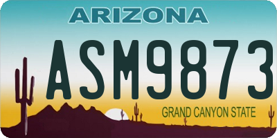 AZ license plate ASM9873