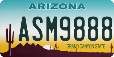 AZ license plate ASM9888