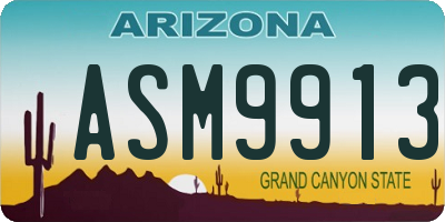 AZ license plate ASM9913