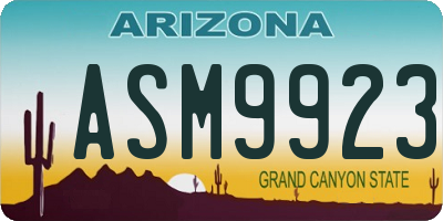 AZ license plate ASM9923