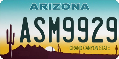 AZ license plate ASM9929