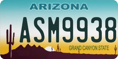 AZ license plate ASM9938