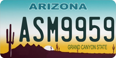 AZ license plate ASM9959