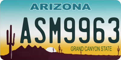 AZ license plate ASM9963